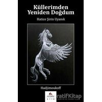 Küllerimden Yeniden Doğdum - Hatice Şirin Uyanık - Ekinoks Yayın Grubu