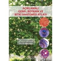 Açıklamalı Genel Botanik ve Bitki Anatomisi Atlası - Hüsnü Çakırlar - Palme Yayıncılık