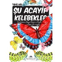 Şu Acayip Kelebekler - Tarık Uslu - Uğurböceği Yayınları