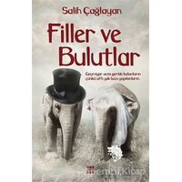 Filler ve Bulutlar - Salih Çağlayan - Dokuz Yayınları