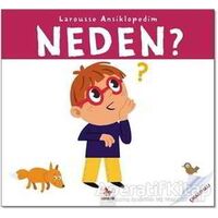 Neden - Larousse Ansiklopedim - Sylvie Baussier - Almidilli