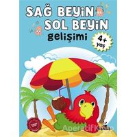 Sağ Beyin - Sol Beyin Gelişimi +4 Yaş - Kolektif - Beyaz Panda Yayınları