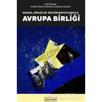 Sosyal, Kültür ve Kimlik Boyutlarıyla Avrupa Birliği - Murat Necip Arman - Astana Yayınları