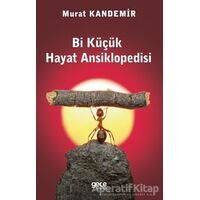 Bi Küçük Hayat Ansiklopedisi - Murat Kandemir - Gece Kitaplığı