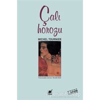 Çalı Horozu - Michel Tournier - Ayrıntı Yayınları