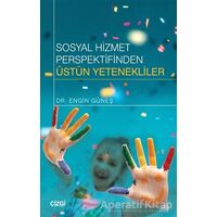 Sosyal Hizmet Perspektifinden Üstün Yetenekliler - Engin Güneş - Çizgi Kitabevi Yayınları