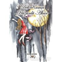 Deli Kamçı Hüzünlü Akar - Celil Cantürk - Tilki Kitap