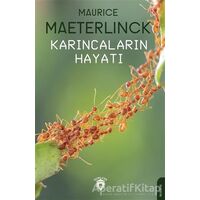 Karıncaların Hayatı - Maurice Maeterlinck - Dorlion Yayınları