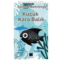 Küçük Kara Balık - Samed Behrengi - Parana Yayınları