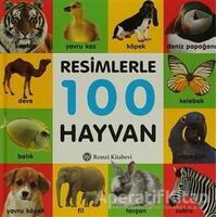 Resimlerle 100 Hayvan - Kolektif - Remzi Kitabevi