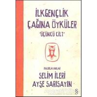 İlkgençlik Çağına Öyküler 3. Cilt - Ayşe Sarısayın - Everest Yayınları