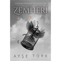 Zemheri - Ayşe Türk - Cinius Yayınları