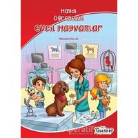 Evcil Hayvanlar - Haydi Öğrenelim - Nikoleta Novak - Teleskop Popüler Bilim