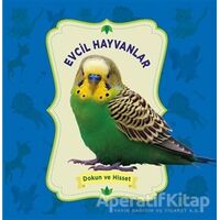 Dokun ve Hisset: Evcil Hayvanlar - Kolektif - 0-6 Yaş Yayınları