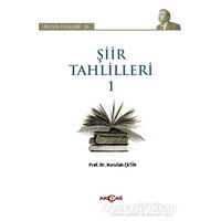 Şiir Tahlilleri 1 - Nurullah Çetin - Akçağ Yayınları