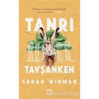 Tanrı Tavşanken - Sarah Winman - Yabancı Yayınları