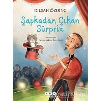 Şapkadan Çıkan Sürpriz - Dilşah Özdinç - Yapı Kredi Yayınları
