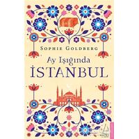 Ay Işığında İstanbul - Sophie Goldberg - Destek Yayınları