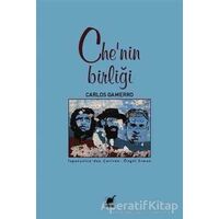 Chenin Birliği - Carlos Gamerro - Ayrıntı Yayınları