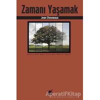 Zamanı Yaşamak - Jean Chesneaux - Ayrıntı Yayınları