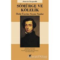 Sömürge ve Kölelik - Alexis de Tocqueville - Ayrıntı Yayınları