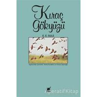 Kıraç Gökyüzü - E. E. Sule - Ayrıntı Yayınları