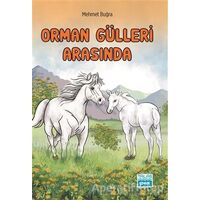 Orman Gülleri Arasında - Mehmet Buğra - Talas Yayınları