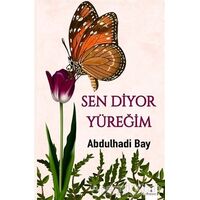 Sen Diyor Yüreğim - Abdulhadi Bay - Serencam Yayınevi