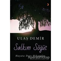 Salkım Söğüt - Ulaş Demir - Cinius Yayınları