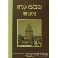 Mevlana Celaleddin Mektuplar - Abdülbaki Gölpınarlı - İnkılap Kitabevi