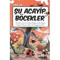 Şu Acayip Böcekler - Tarık Uslu - Uğurböceği Yayınları