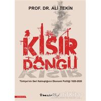 Kısır Döngü - Ali Tekin - İnkılap Kitabevi