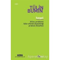 Hegel - Tülin Bumin - Yapı Kredi Yayınları