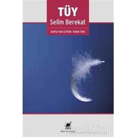 Tüy - Selim Berekat - Ayrıntı Yayınları