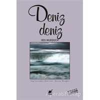 Deniz Deniz - Iris Murdoch - Ayrıntı Yayınları