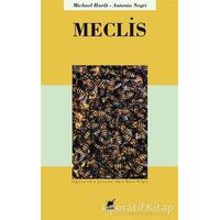 Meclis - Antonio Negri - Ayrıntı Yayınları