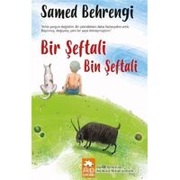 Bir Şeftali Bin Şeftali - Samed Behrengi - Eksik Parça Yayınları