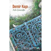 Demir Kapı - Ayla Çınaroğlu - FOM Kitap