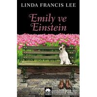 Emily ve Einstein - Linda Francis Lee - Eksik Parça Yayınları