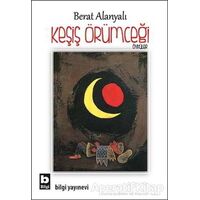 Keşiş Örümceği - Berat Alanyalı - Bilgi Yayınevi