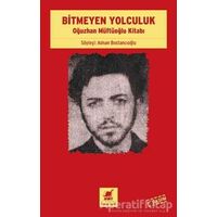 Bitmeyen Yolculuk - Adnan Bostancıoğlu - Ayrıntı Yayınları