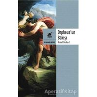 Orpheusun Bakışı - Ahmet Bozkurt - Ayrıntı Yayınları