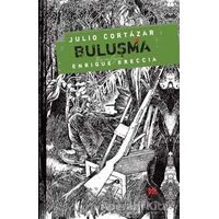 Buluşma - Julio Cortazar - Delidolu