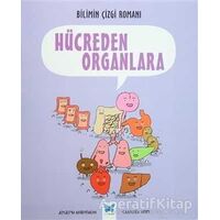 Bilimin Çizgi Romanı: Hücreden Organlara - Joseph Midthun - Mavi Kelebek Yayınları