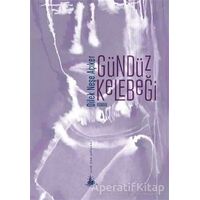 Gündüz Kelebeği - Dilek Neşe Açıker - Yitik Ülke Yayınları