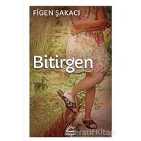 Bitirgen - Figen Şakacı - İletişim Yayınevi