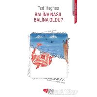 Balina Nasıl Balina Oldu? - Ted Hughes - Can Çocuk Yayınları