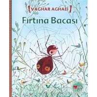 Fırtına Bacası - Vaghar Aghaei - Can Çocuk Yayınları