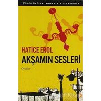 Akşamın Sesleri - Hatice Erol - Cinius Yayınları