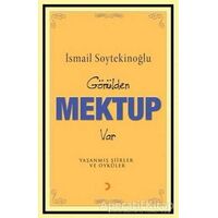Gönülden Mektup Var - İsmail Soytekinoğlu - Cinius Yayınları